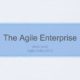 Agile Enterprise-Dave West